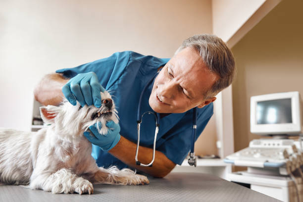 Best Emergency Root Canal Treatment in New Carrollton, MD